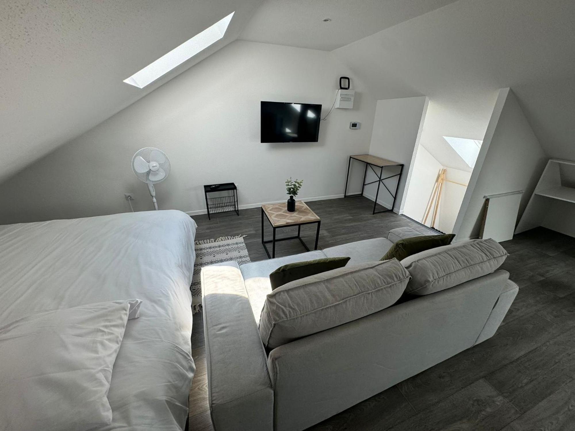 Studio Eucalyptus Charmant Elegant Et Fonctionnel Centre Ville Mulhouse Exterior foto
