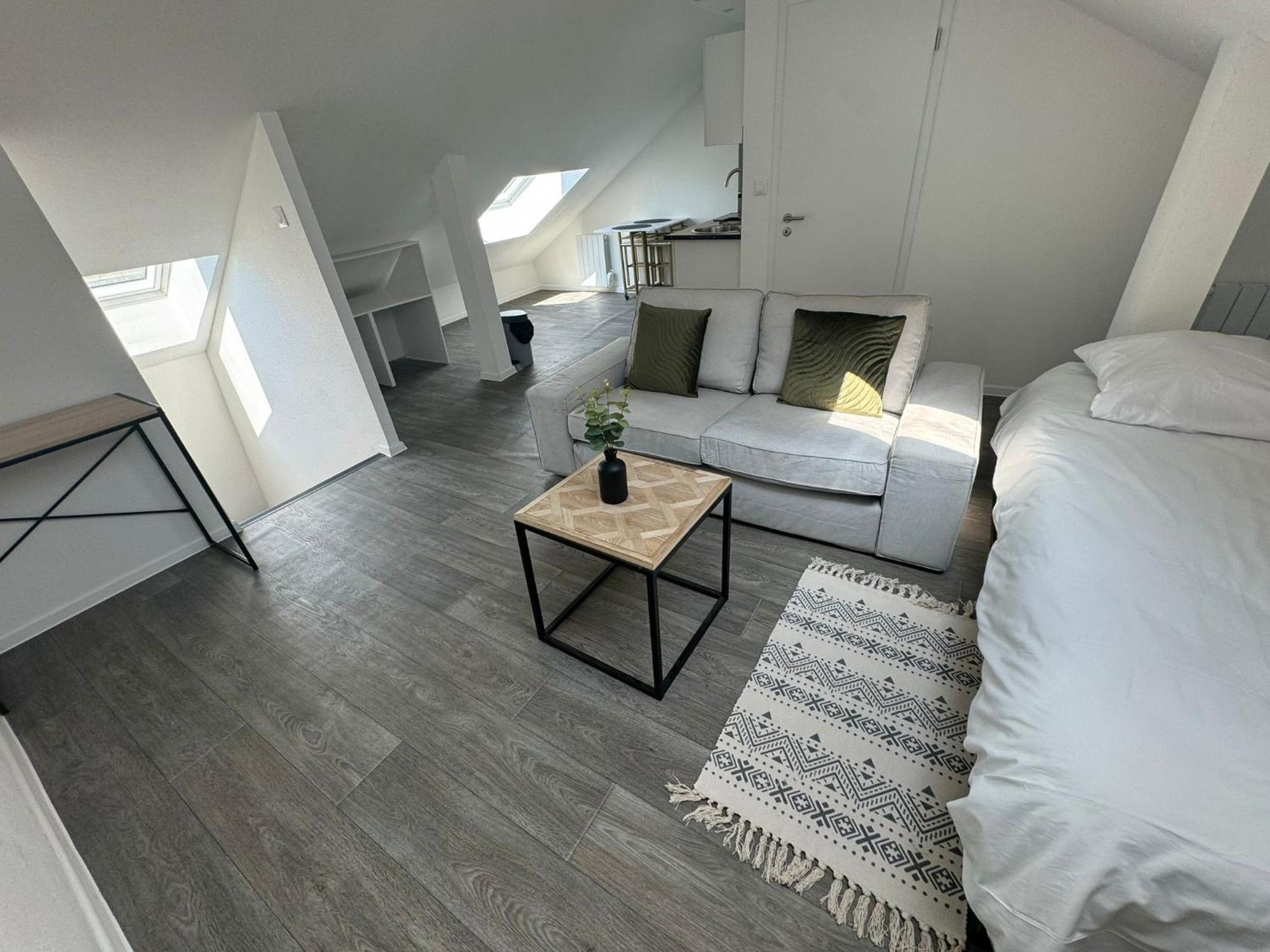 Studio Eucalyptus Charmant Elegant Et Fonctionnel Centre Ville Mulhouse Exterior foto